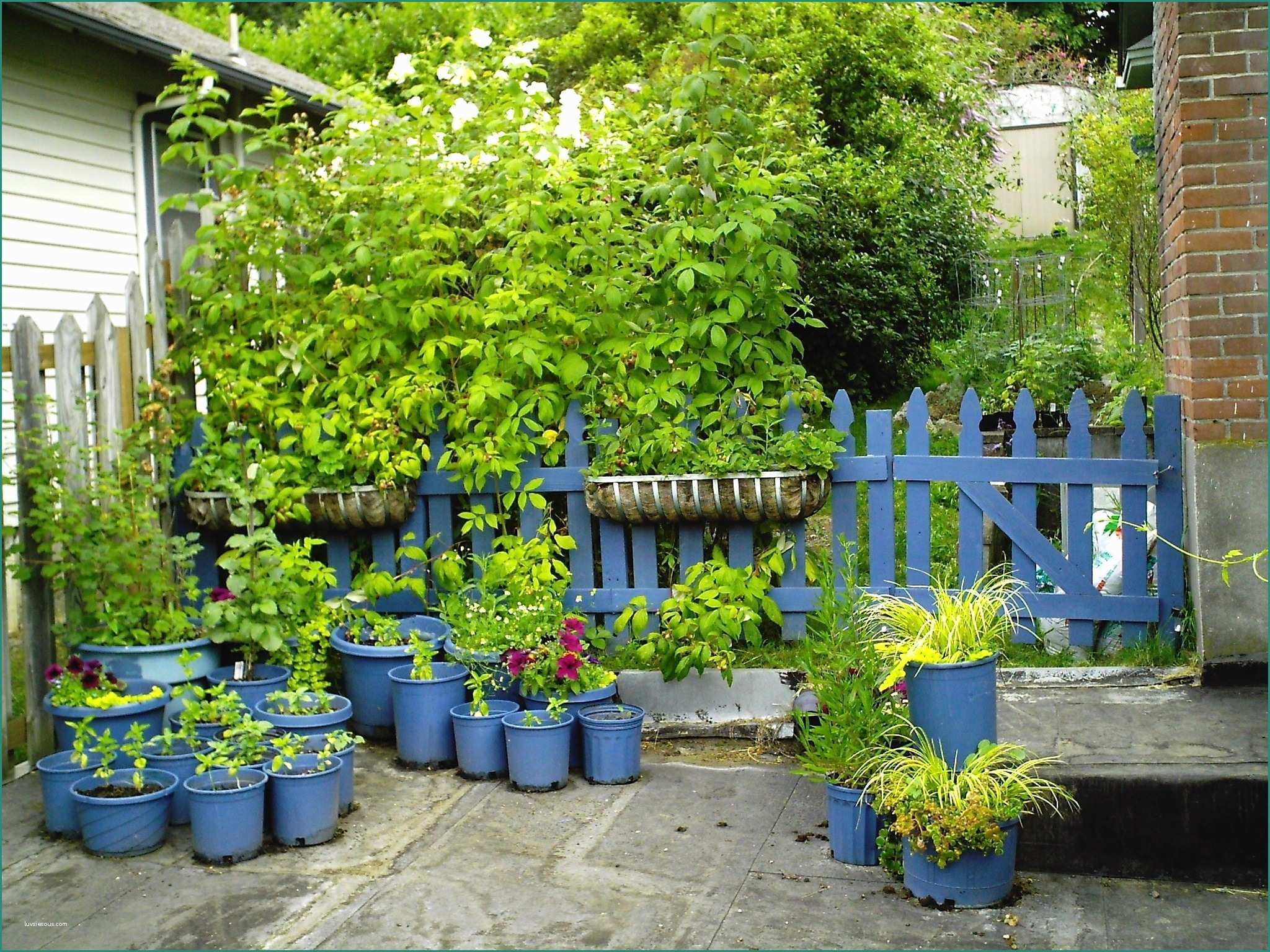 Aiuole Giardino Fai Da Te E Giardino Piccolo Simple Arredare Un Giardino Il Meglio Di E Fare Un