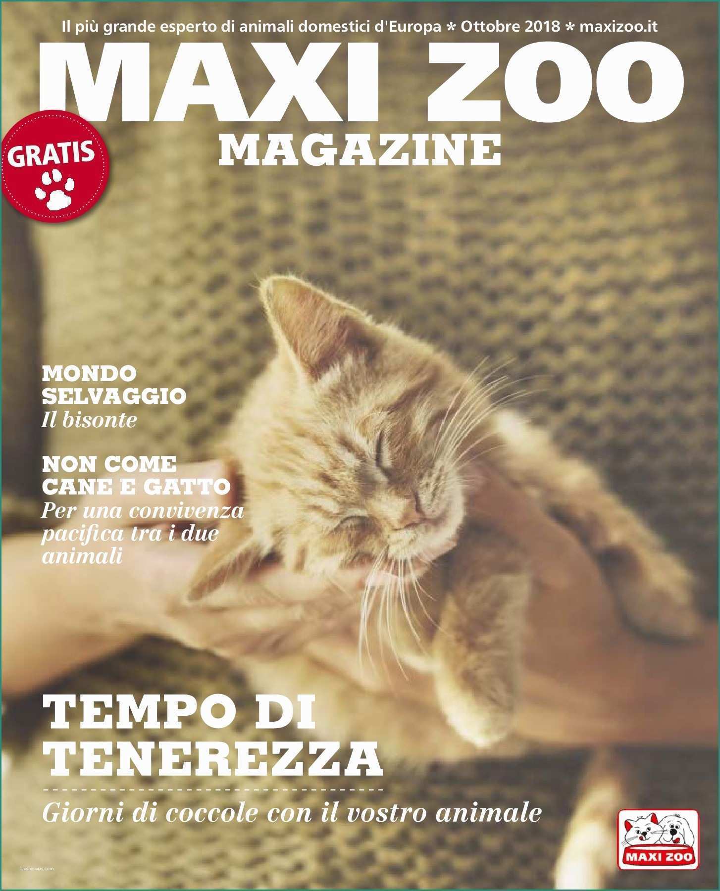 Alimentazione Coniglio Nano Cucciolo E Magazine Pages 1 50 Text Version