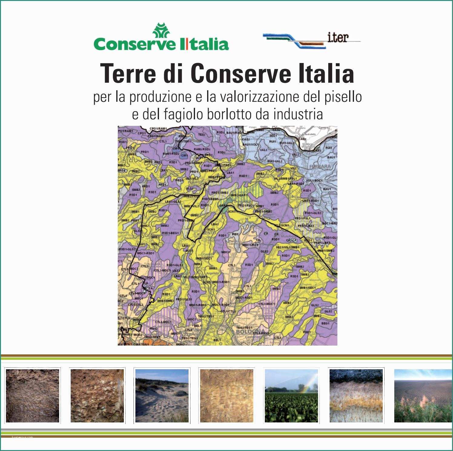 Alimenti Alcalini Tabella E Terre Di Conserve Italia by Janus issuu