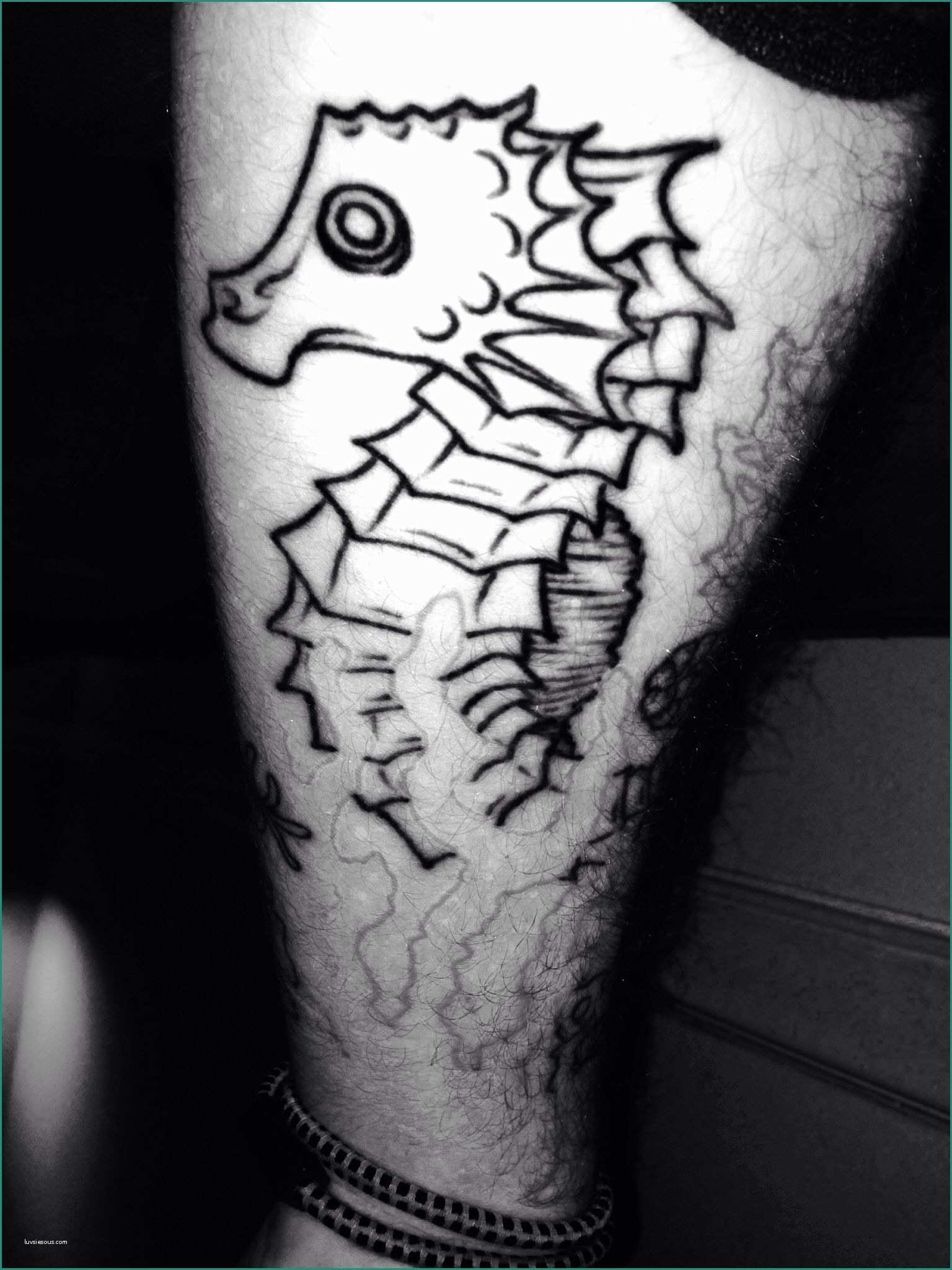Animali Marini E Seahorse Tattoo Tattoos