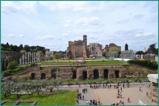 Area G Roma E Inside the Colosseum Picture Of Colosseum Rome
