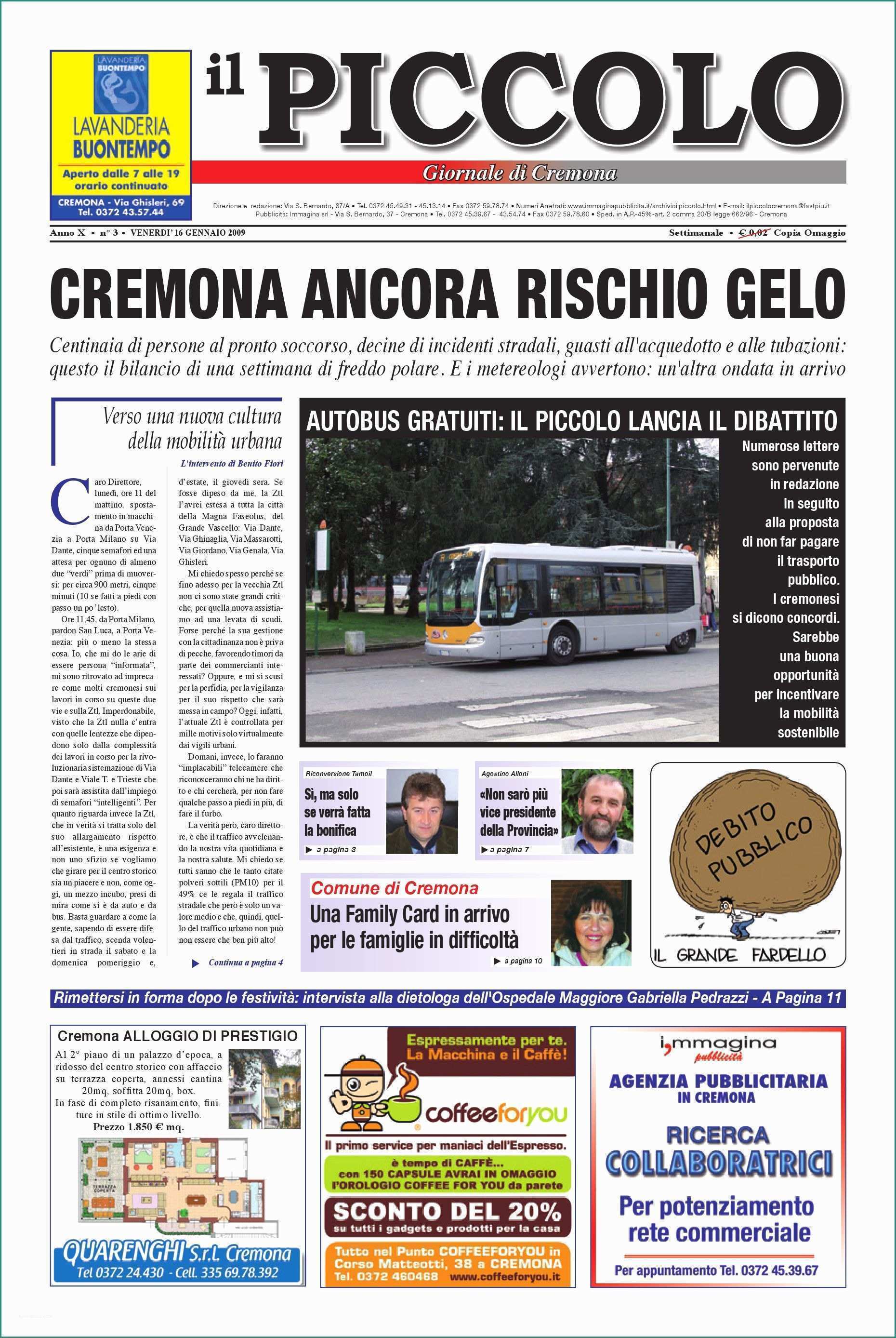 Bidoni Spazzatura Leroy Merlin E Il Piccolo Giornale by Promedia Promedia issuu