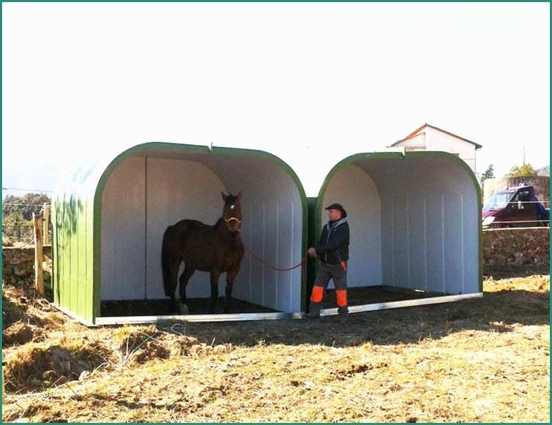 Box cavalli prefabbricati economici e case di campagna e for Box per cavalli usati in vendita