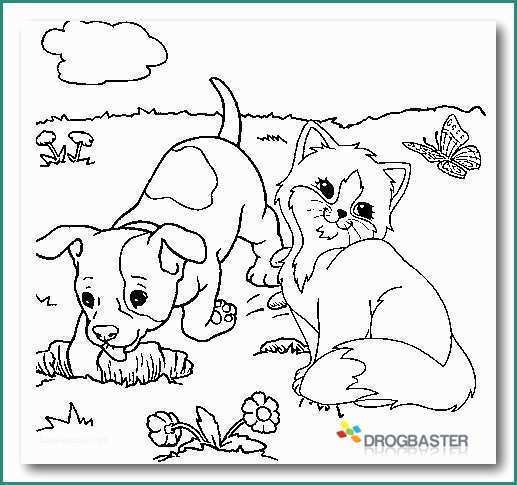 Cani Da Disegnare E Disegni Per Bambini Da Colorare E Stampare Gratis