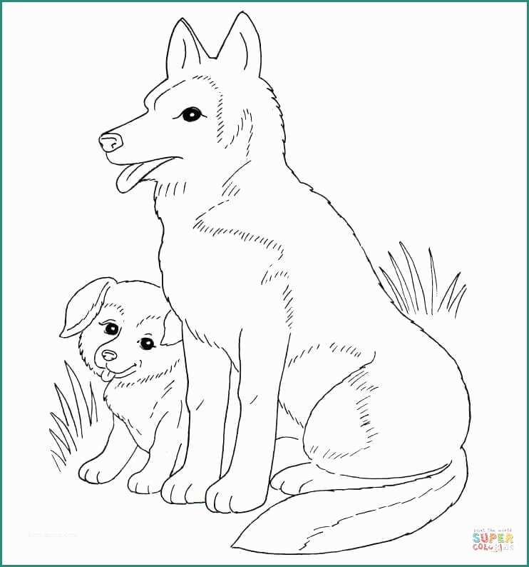 Cani Da Disegnare E Disegno Di Mamma Cane E Cucciolo Da Colorare