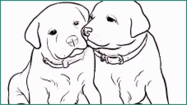 Cani Da Disegnare E I Cuccioli Da Colorare E Disegnare Di Rachael Hale