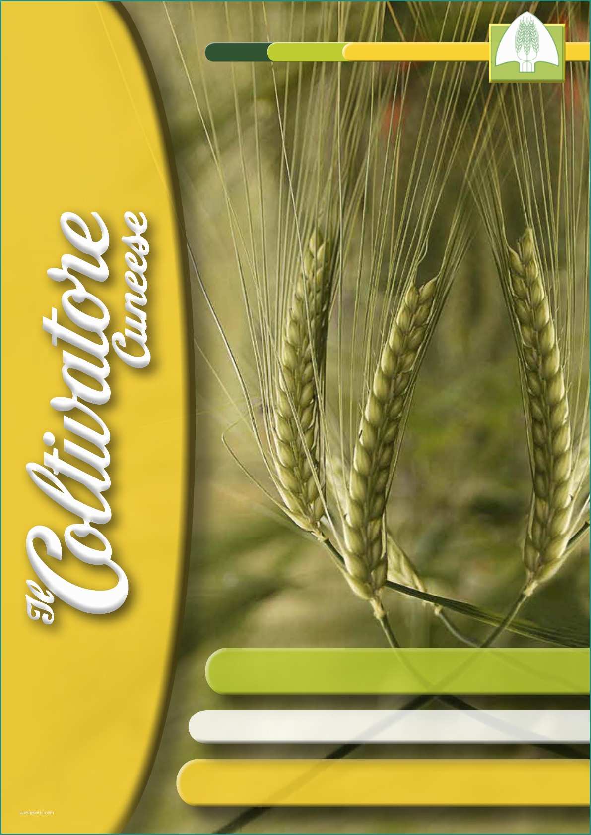 Capannoni Prefabbricati Agricoli Prezzi E Il Coltivatore Cunese N 10 Giugno 2012 [pdf Document]