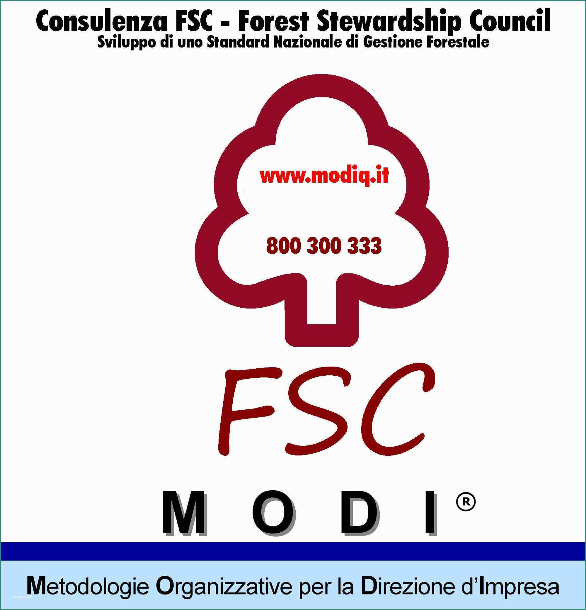 Caricatori forestali Usati Per Trattori E Modiq Consulenza E formazione Qualit  Ambiente Sicurezza Privacy E 231