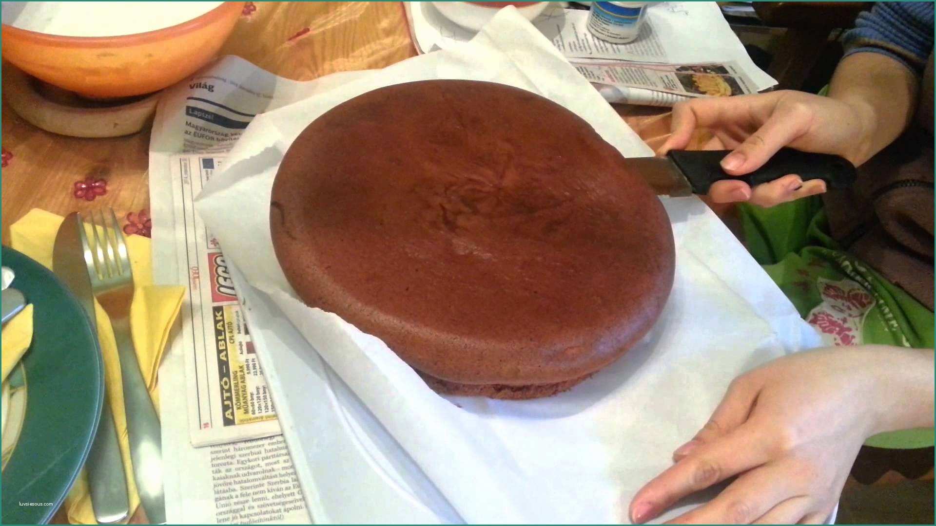 Ciambellone Fatto In Casa Da Benedetta E Szülinapi Sacher torta