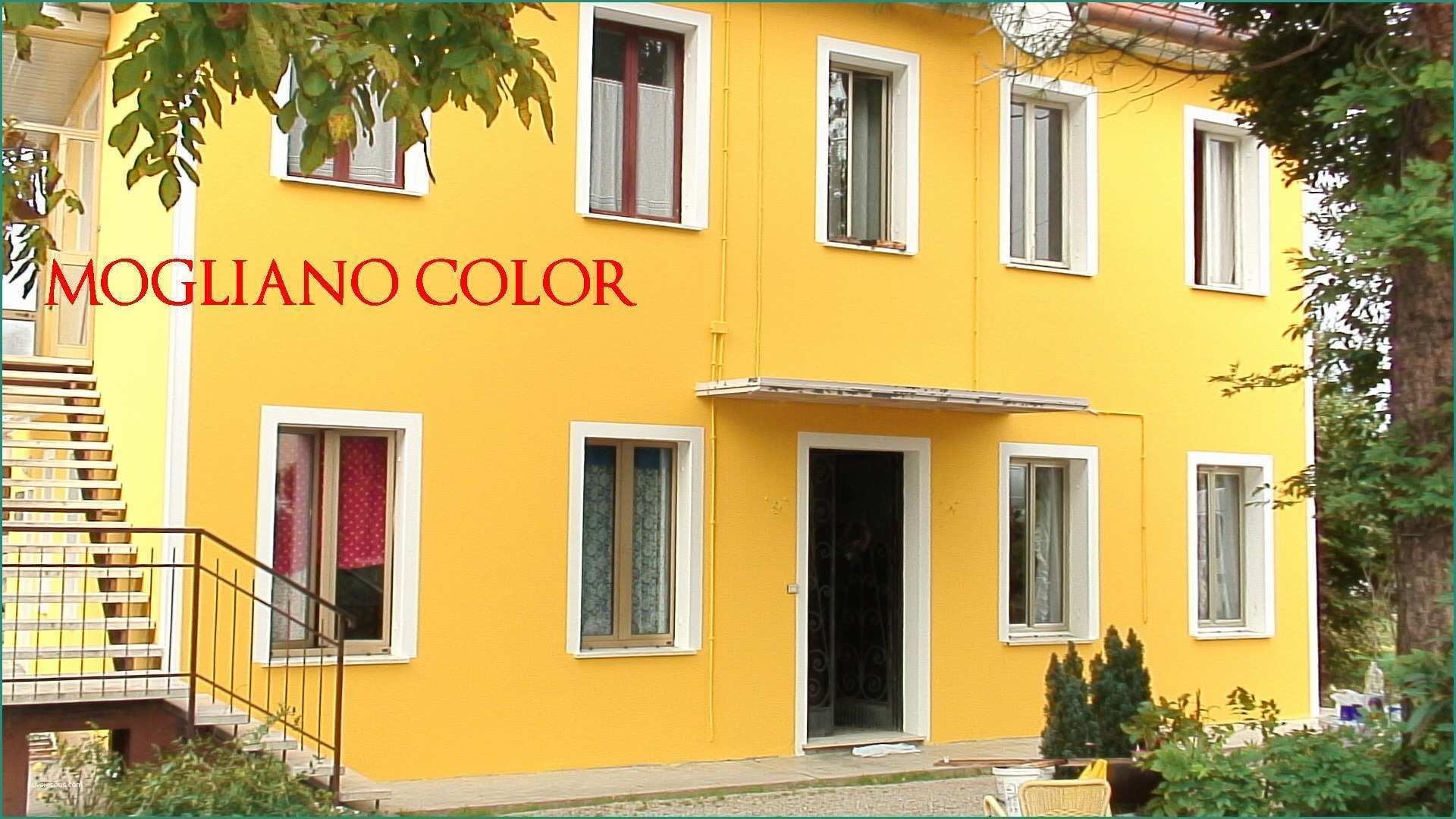 Colori Facciate Case E Colore Esterno Casa Di Campagna Design Casa Creativa E