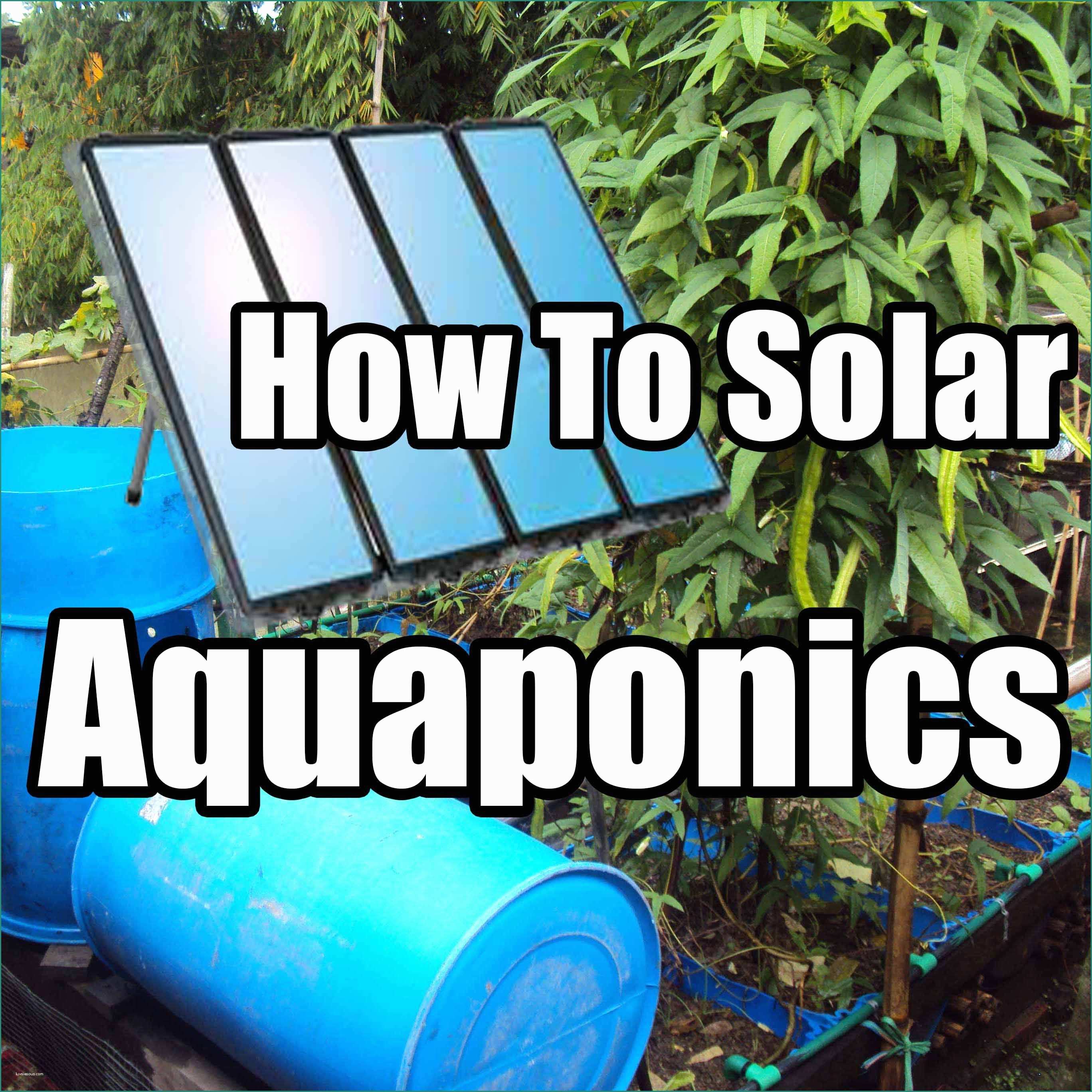 Coltivazione Idroponica Ikea E How to Diy Aquaponics the How to Diy Guide On Building Your Very