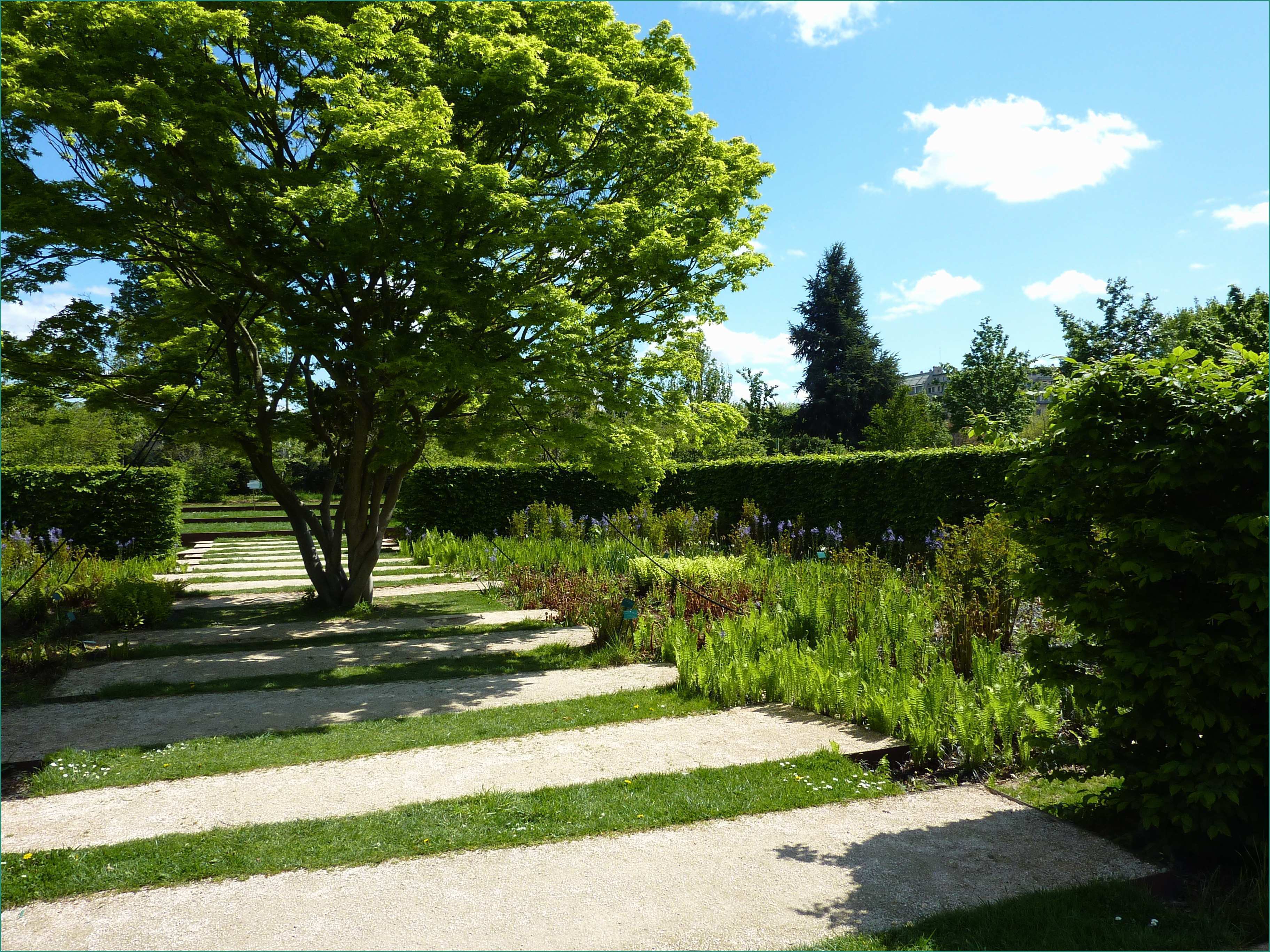 Decorazioni Giardino Aiuole E Giardino Delle Serre D Auteuil