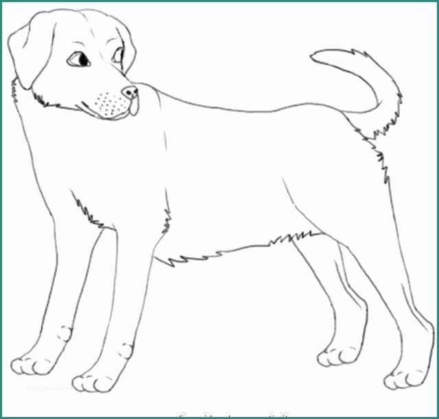 Disegnare Un Cane E Cani Da Colorare