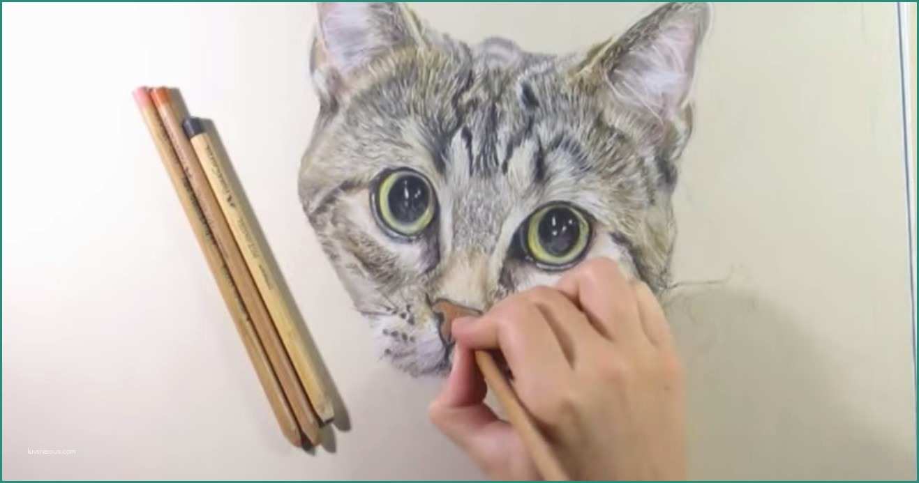 Disegnare Un Cane E Disegnare Dipingere Gatti Gattini Gratis Tutti I