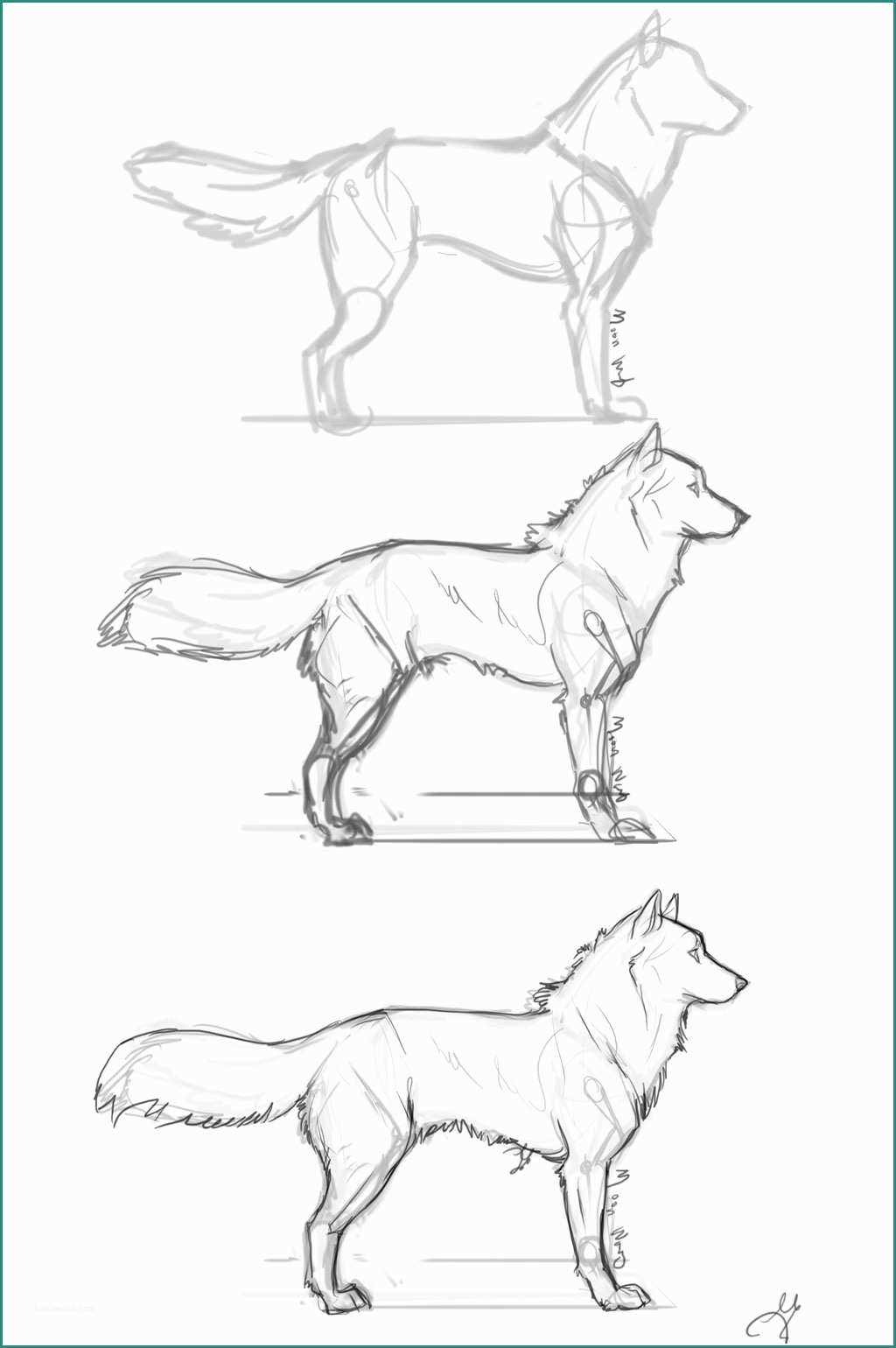 Disegnare Un Cane E [guida] E Disegnare Un Cane Passo Per Passo