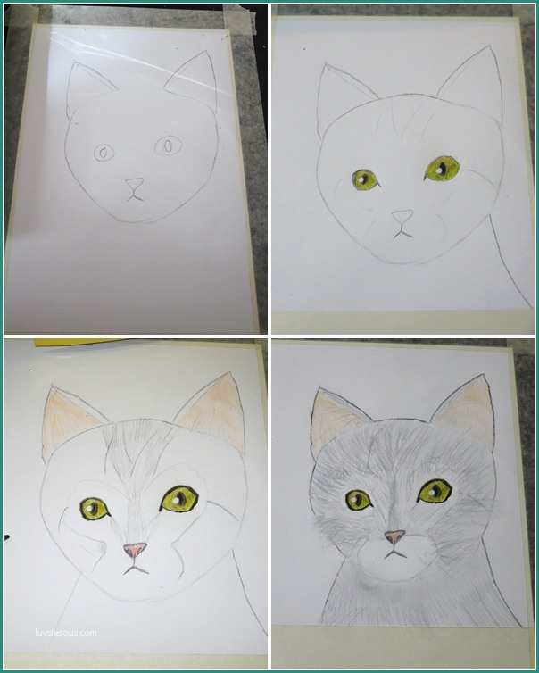 Disegnare Un Cane E Studiamando Liberamente Disegnare E Dipingere Cani E Gatti