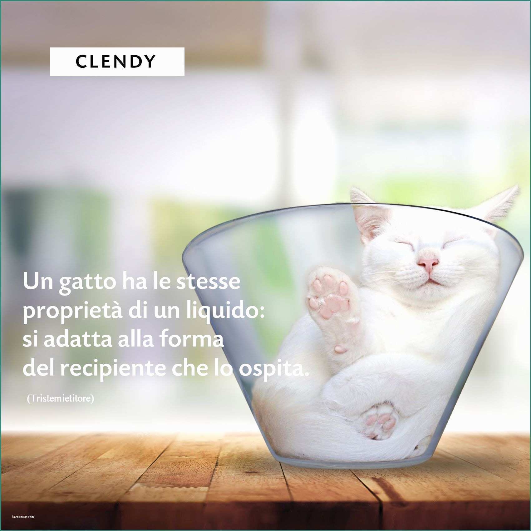 Disegnare Un Gatto E Clendy Spa Clendyitalia Auf Pinterest