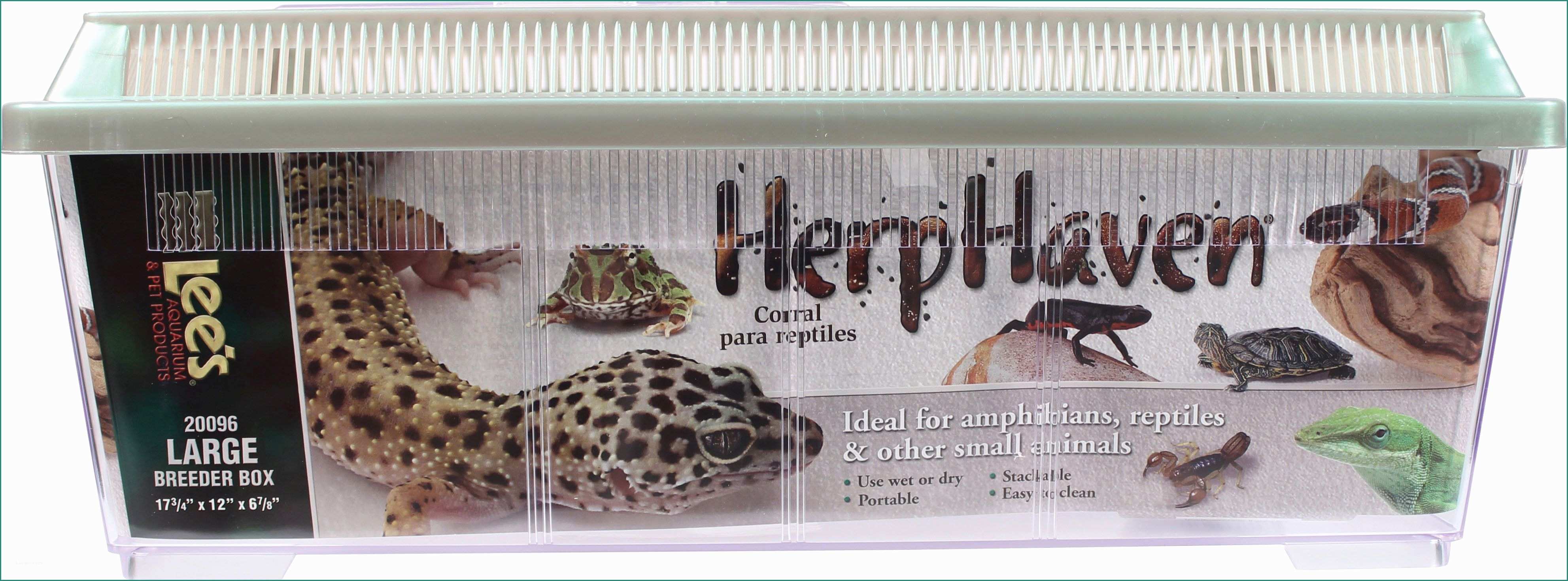 Disegnare Un Gatto E Herphaven Breeder Box for Small Reptiles Rectangle