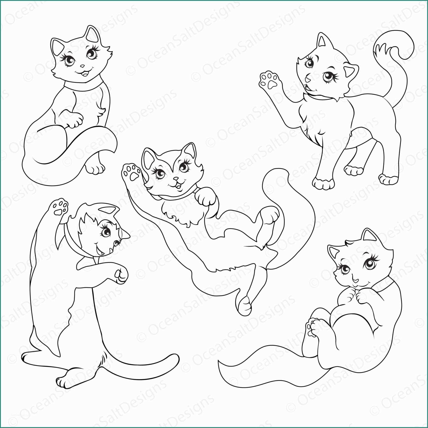 Disegnare Un Gatto E Unico Disegni Da Colorare Gatto Regdoll Cucciolo