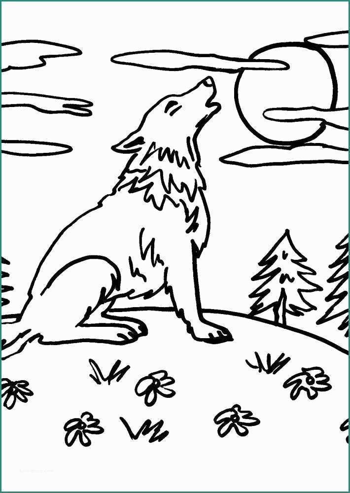 Disegnare Un Gufo E Disegno Cervo Da Colorare Disegno Volpe Da Colorare