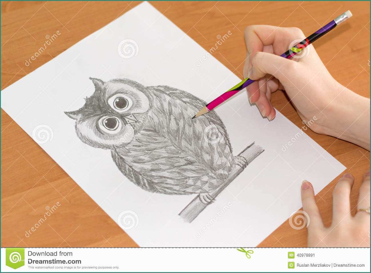 Disegnare Un Gufo E Disegno Del Gufo Su Un Foglio Di Carta Fotografia Stock