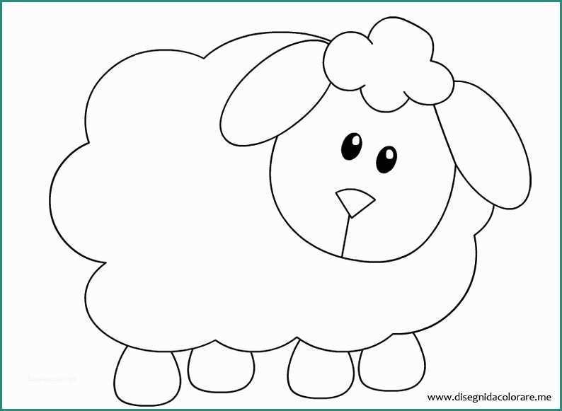 Disegnare Un Gufo E Disegno Pecorella