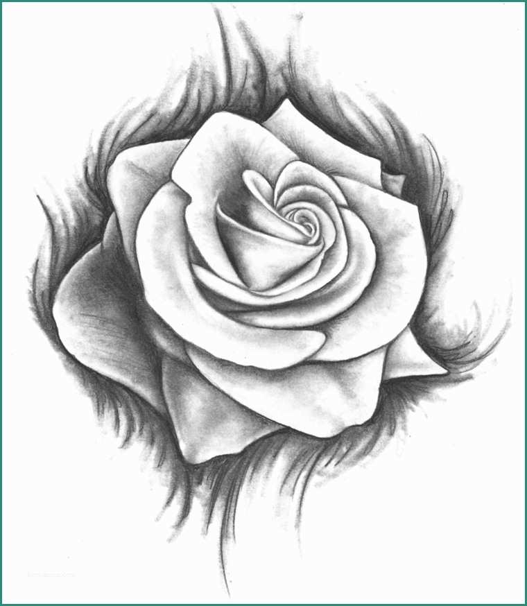 Disegnare Una Rosa E Disegni A Matita Spettacolari Lg65 Pineglen