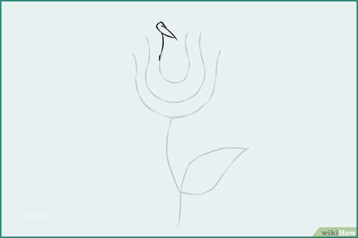 Disegnare Una Rosa E E Disegnare Un Fiore 18 Passaggi Illustrato