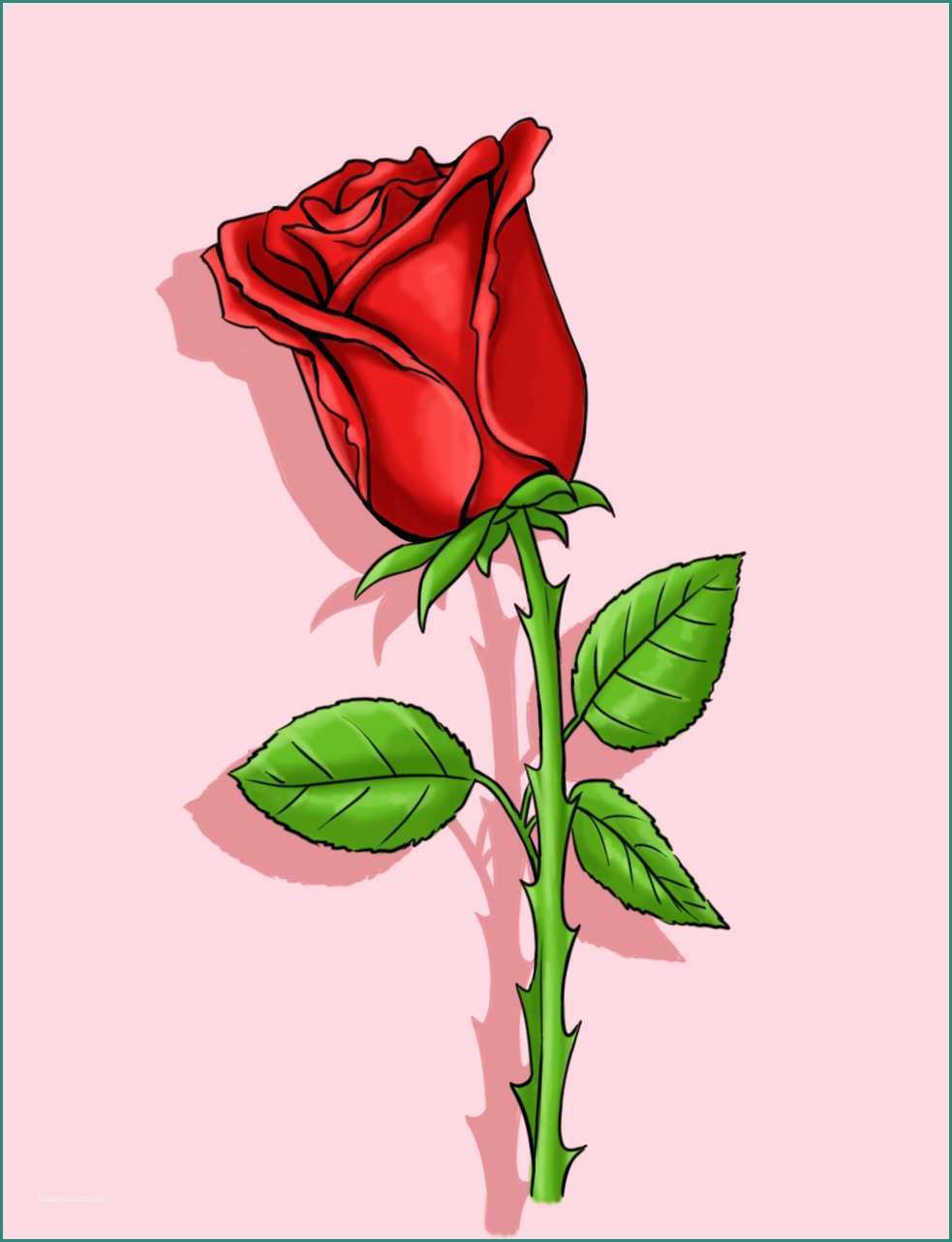 Disegnare Una Rosa E E Disegnare Una Rosa 16 Passaggi Illustrato