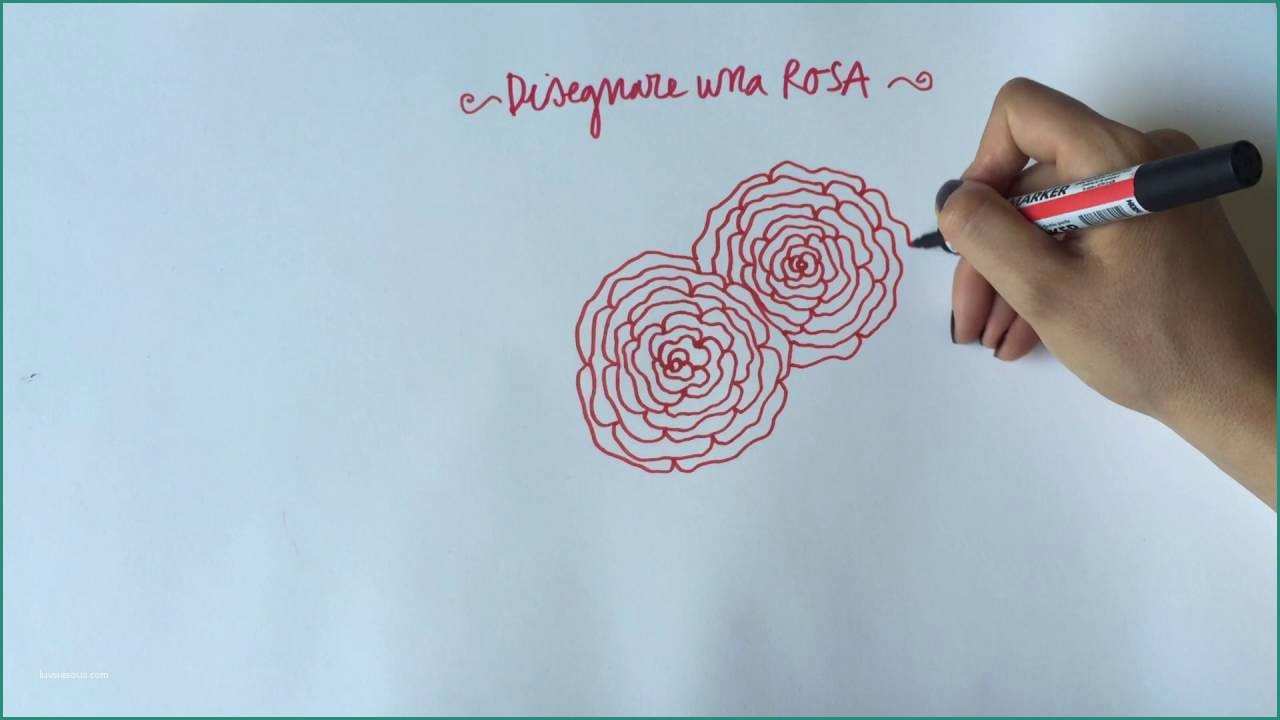 Disegnare Una Rosa E E Disegnare Una Rosa Hf84 Regardsdefemmes