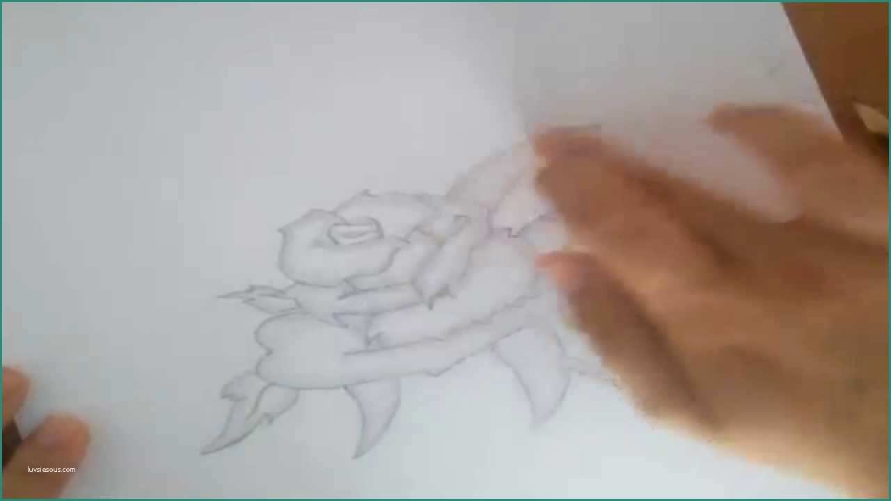 Disegnare Una Rosa E How to Draw A Rose [ E Disegnare Una Rosa]