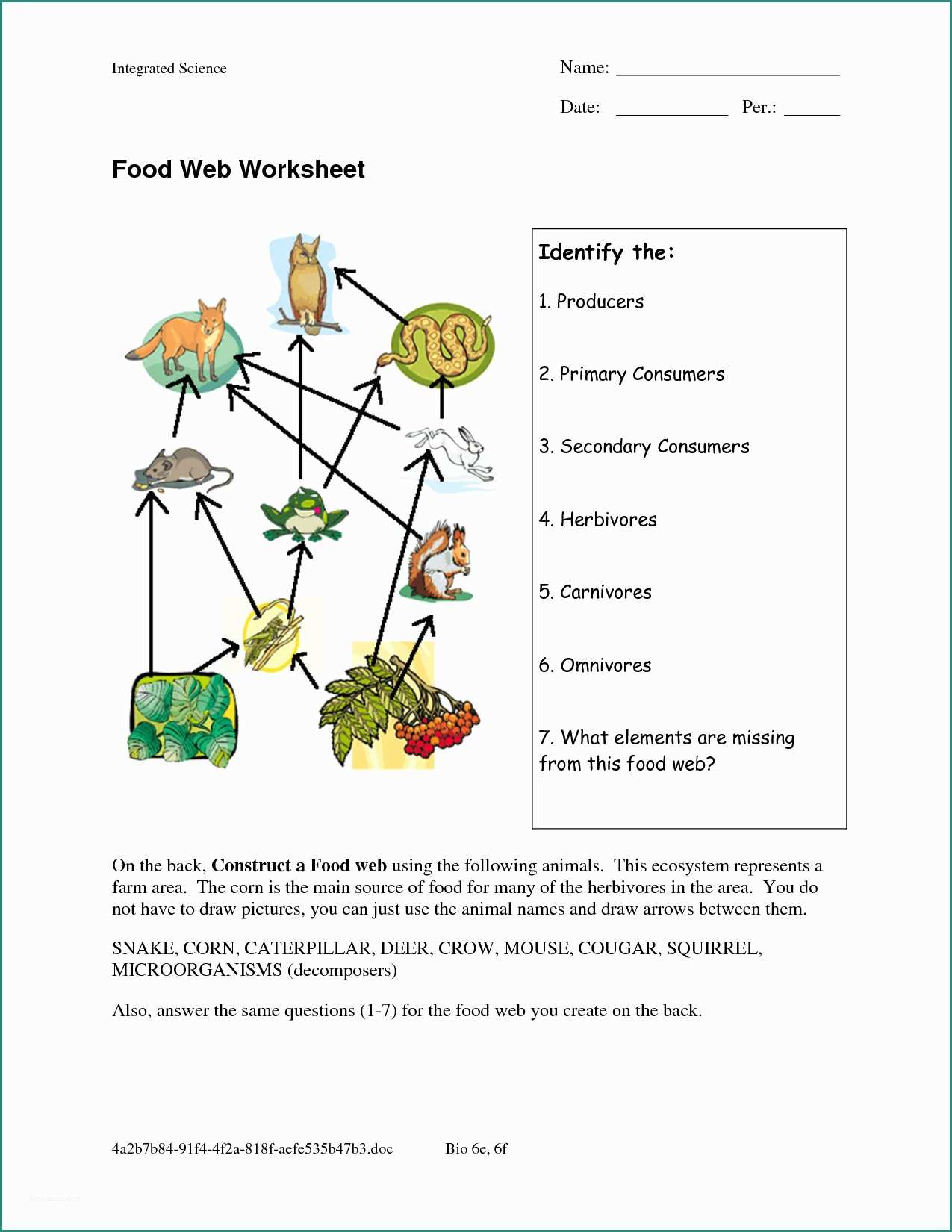 Ecosistema In Bottiglia E Food Web Worksheets Food Web Worksheet Doc