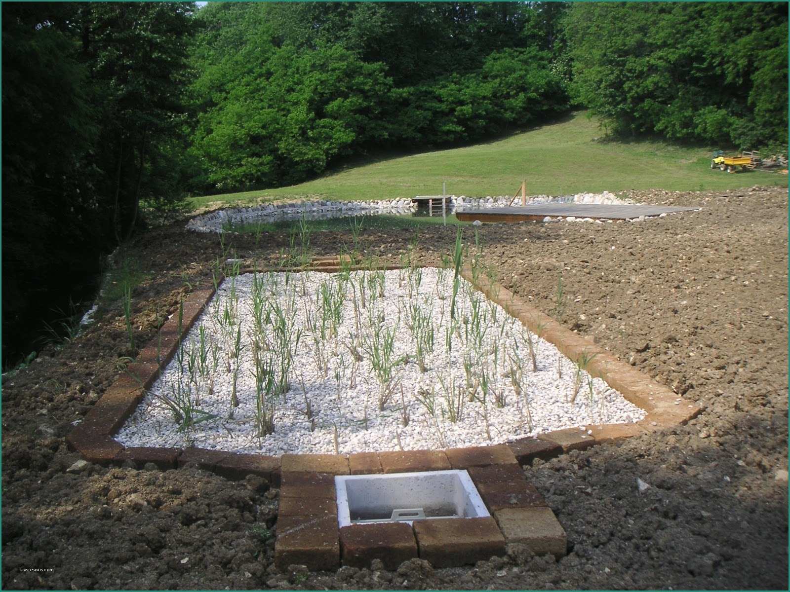 Fossa Biologica Imhoff In Cemento Prezzi E Fitodepurazione Water Management and Sustainable