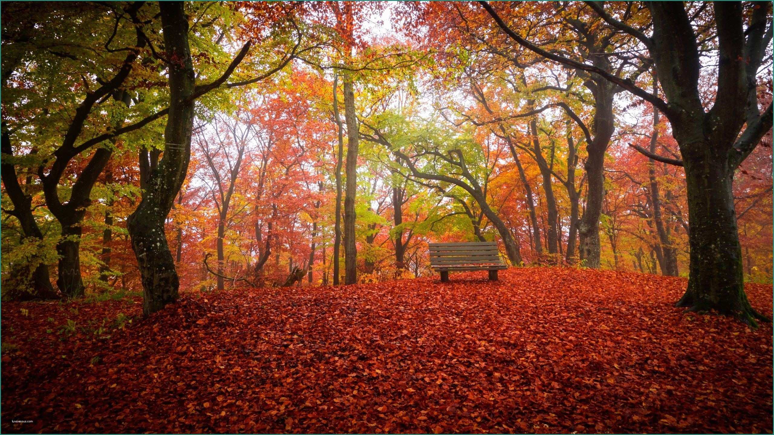 Foto Di Paesaggi Autunnali E Beautiful Autumn Cover Wallpapers Lovely Belle Foto Di
