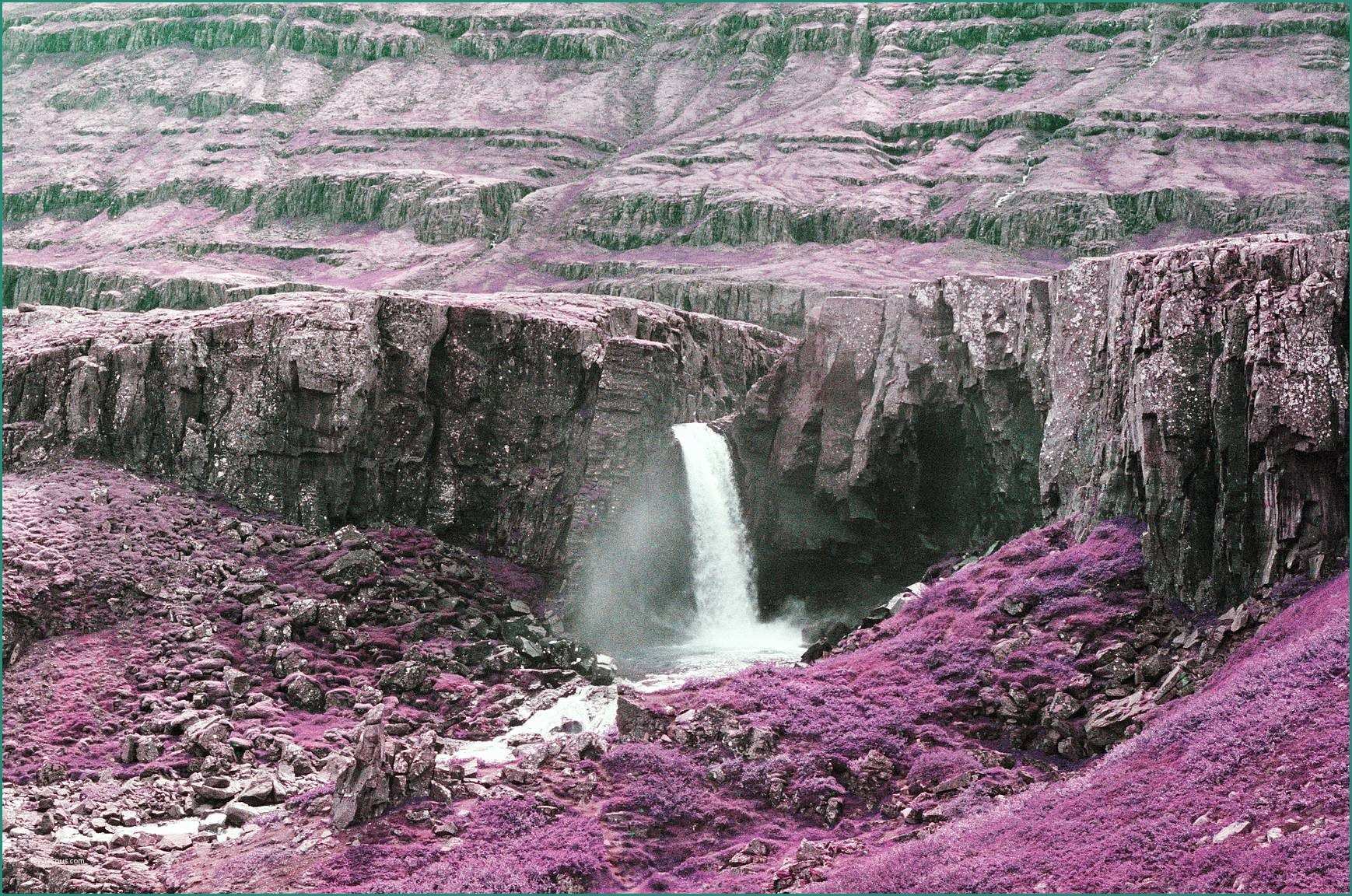 Foto Di Paesaggi Marini E Eden Carter Porta Il Rullino Lomochrome Purple In islanda · Lomography
