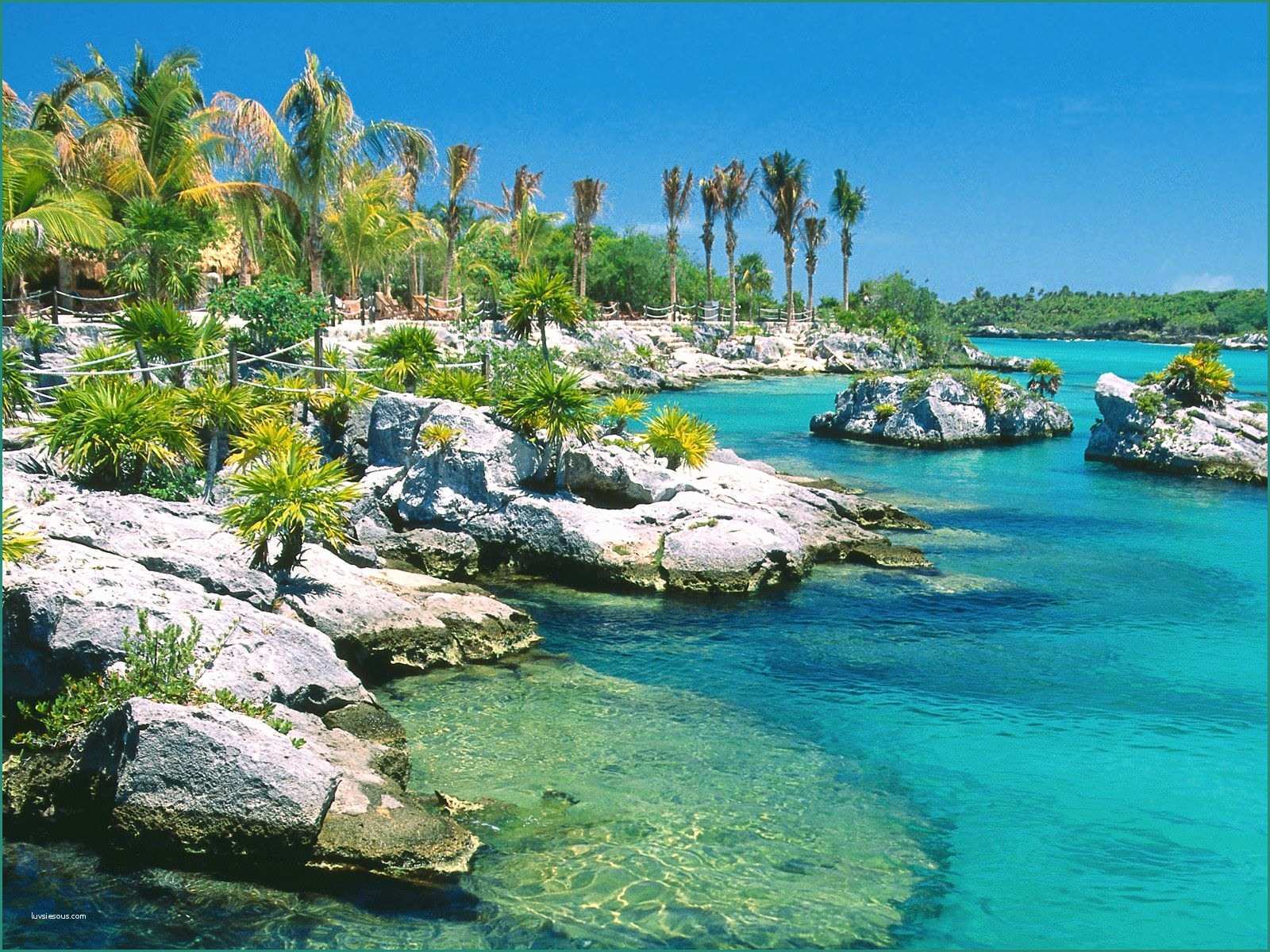 Foto Di Paesaggi Marini E Ferte Viaggio Voli A R Messico Cancun A Febbraio 583 € Tritogo