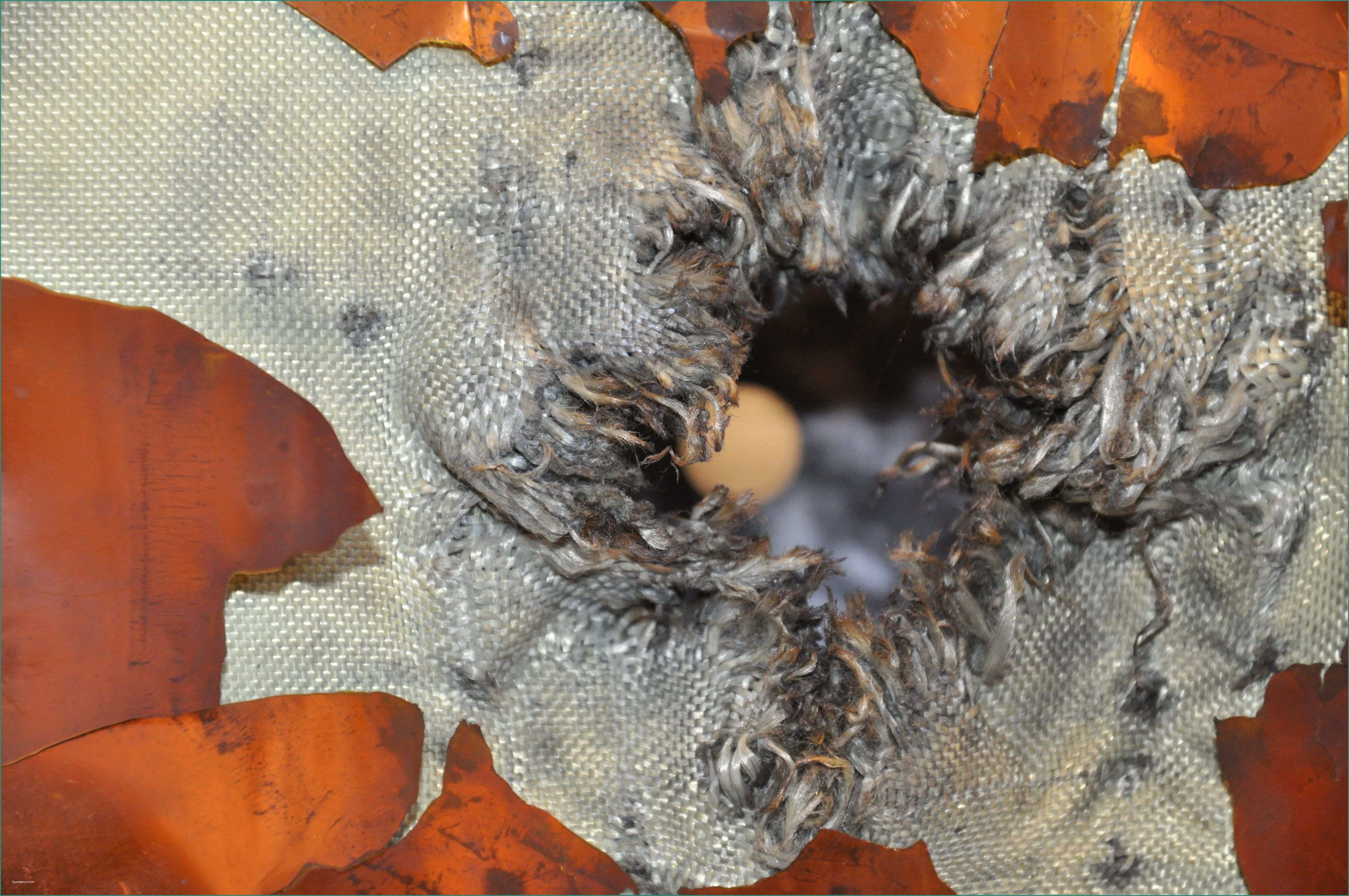 Foto Di Plutone E An Exit Hole Through Kevlar–nextel Fabric after Hypervelocity