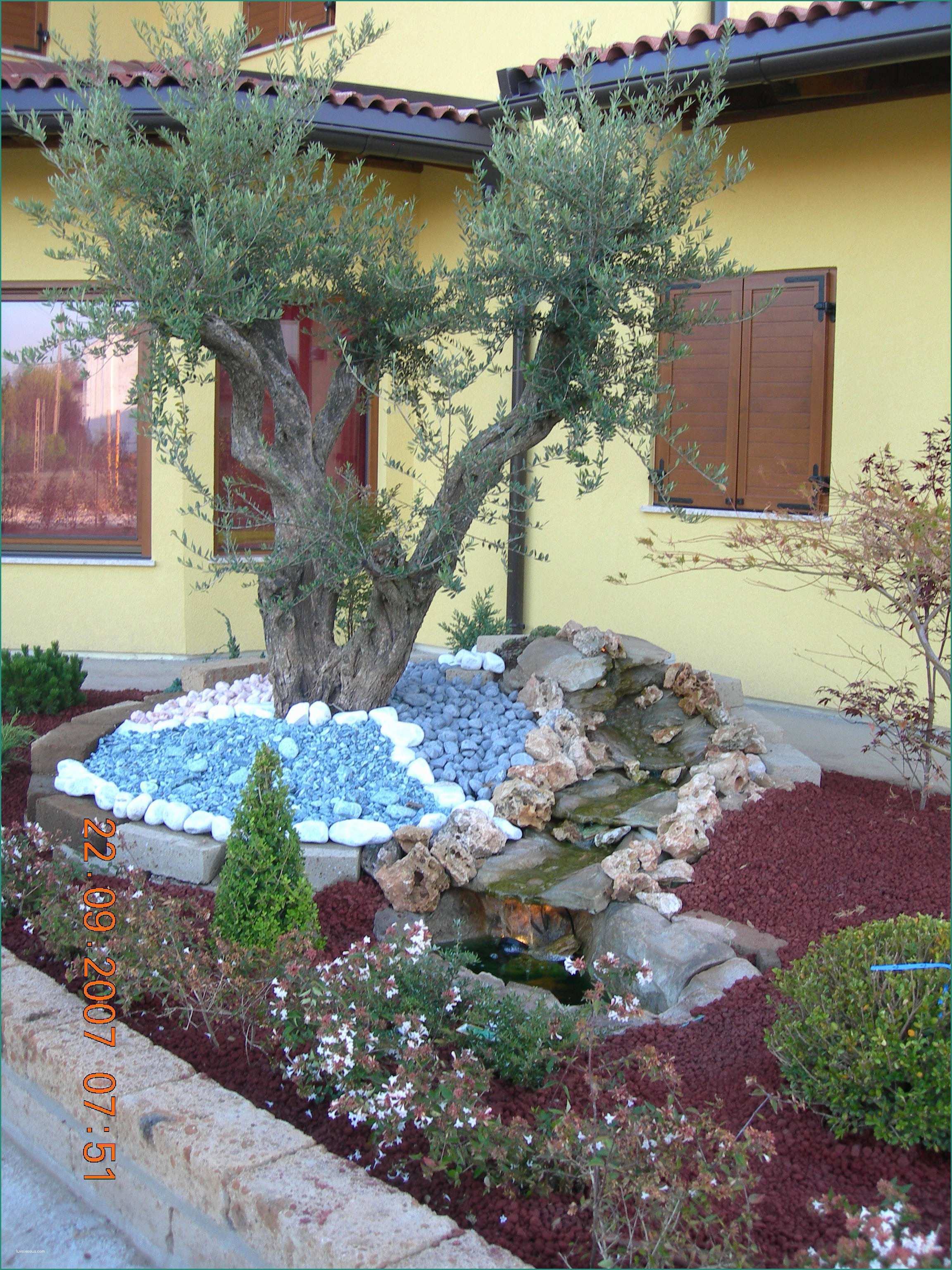Giardini Con Pietre Bianche E 39 Idee Giardini Con Aiuole E Sassi Design Per La Casa