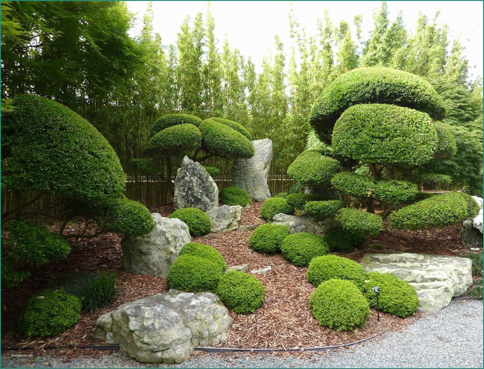 Idee Giardino Piccolo E Piccoli Giardini Zen Beautiful Creare Giardino E Creare Un