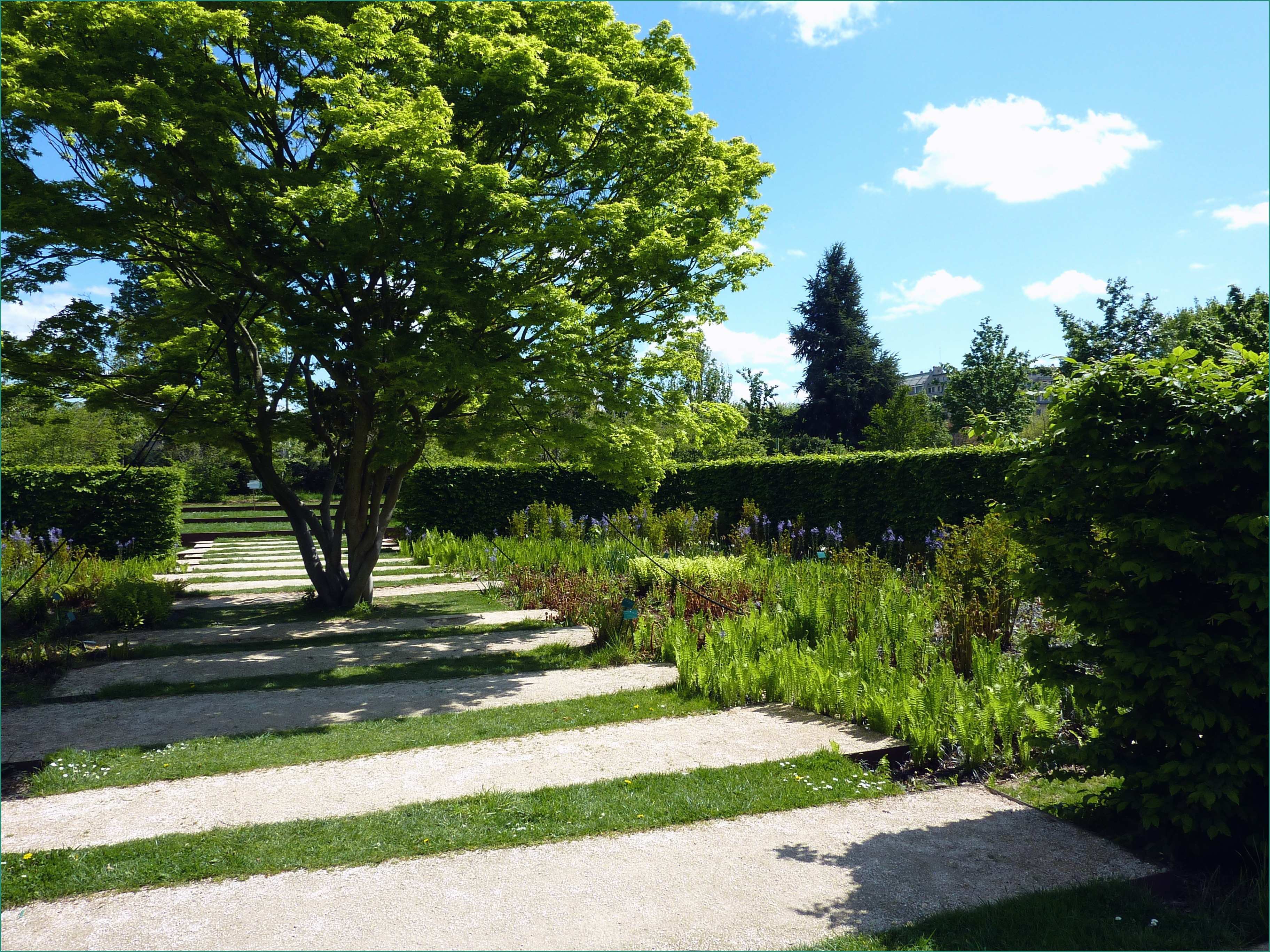 Il Giardino Svelato E 25 Incredibile Giardino Alla Francese