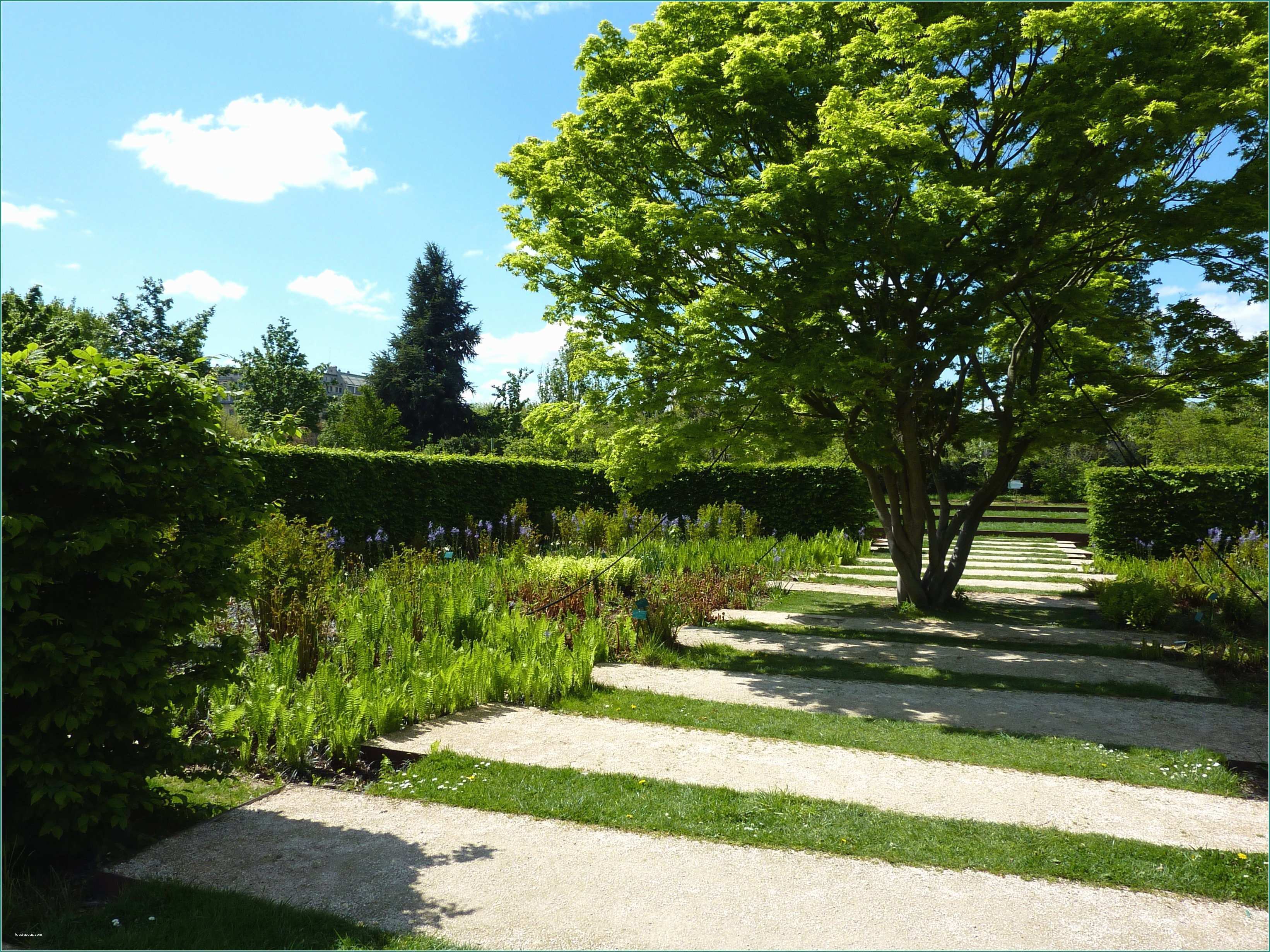 Il Giardino Svelato E Impressionante Giardino Alla Francese