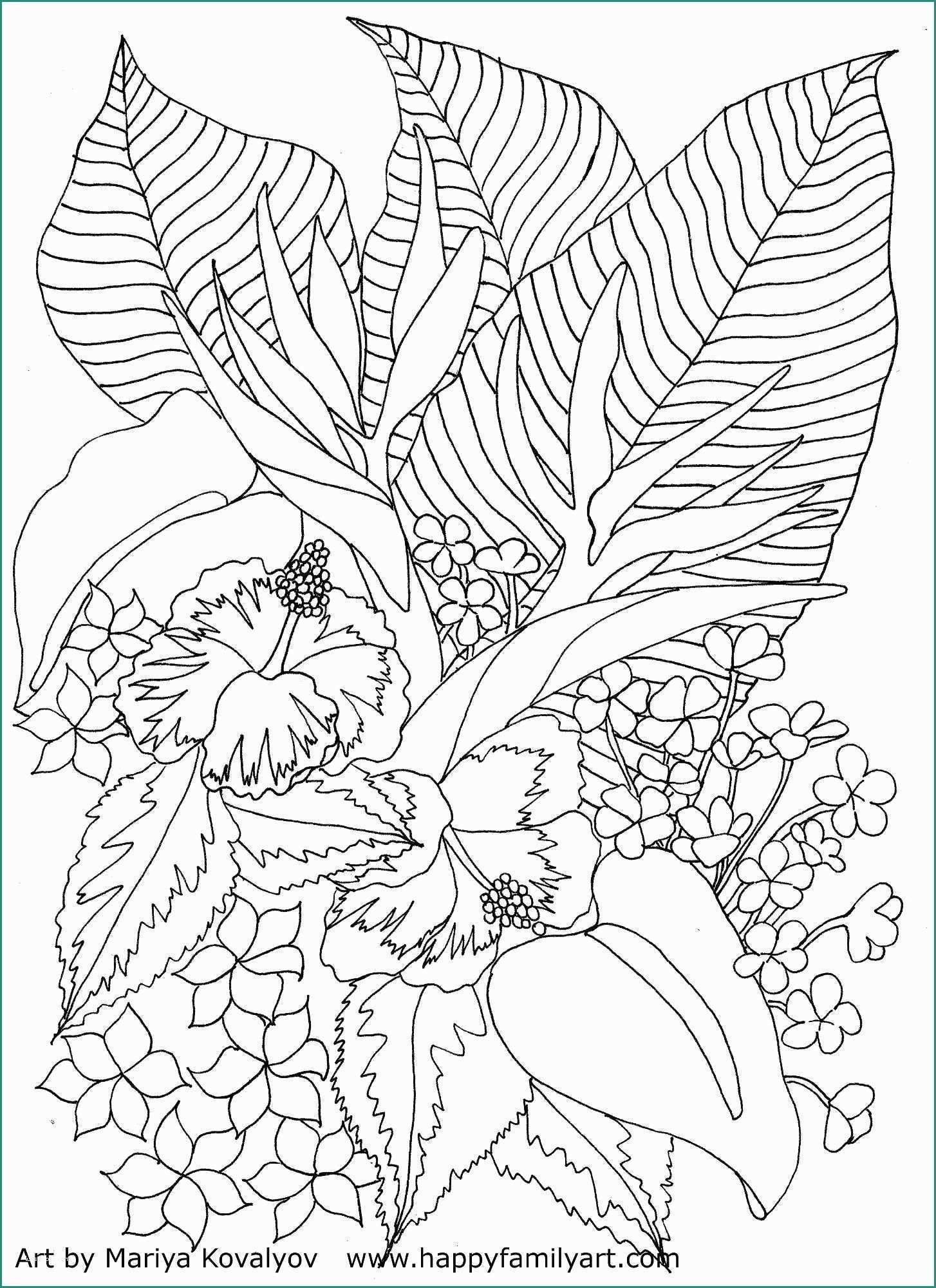 Immagini Da Dipingere E Tropicalflowers