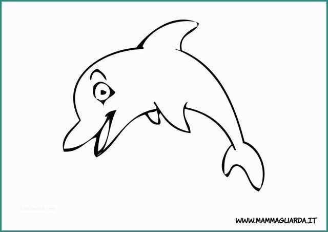 Immagini Di Cani Da Disegnare E Animali Da Colorare Delfino Da Colorare 2