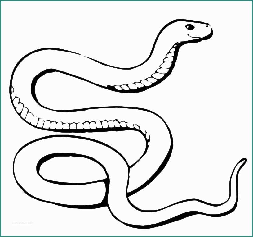Immagini Di Cani Da Disegnare E Animali Serpente