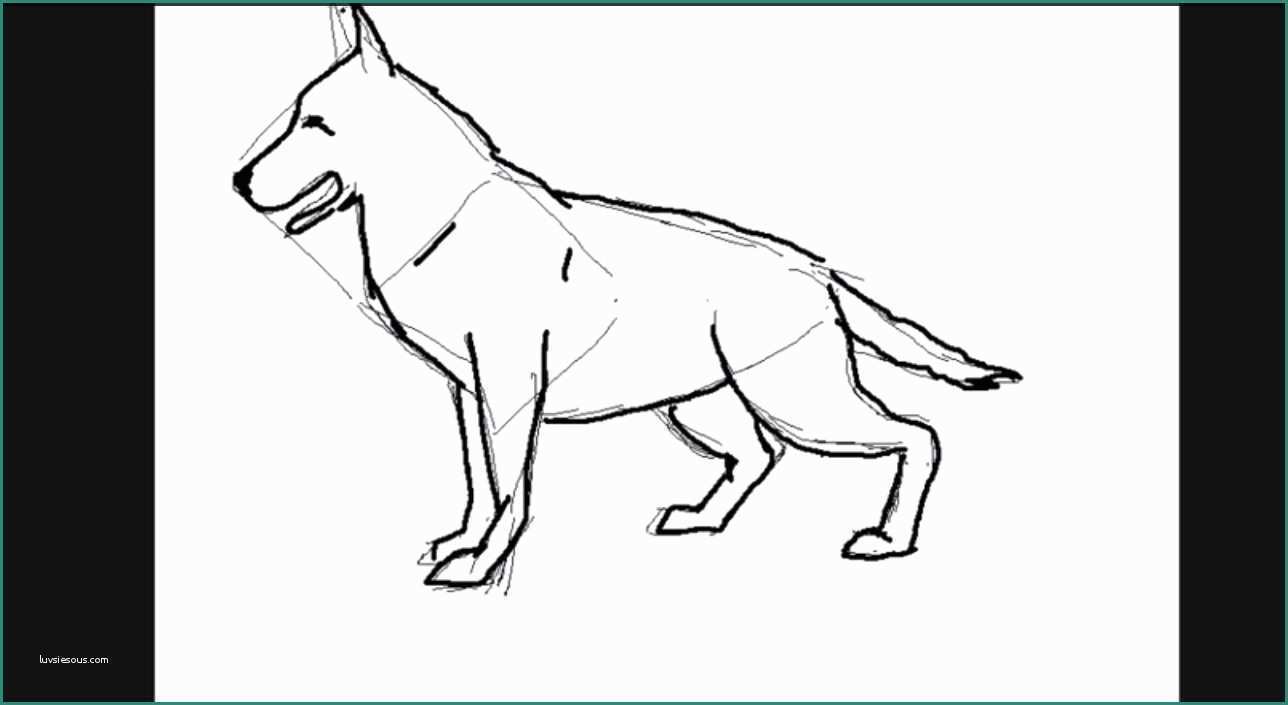 Immagini Di Cani Da Disegnare E Cane Lupo O Pastore Tedesco Stilizzato – Video Tutorial
