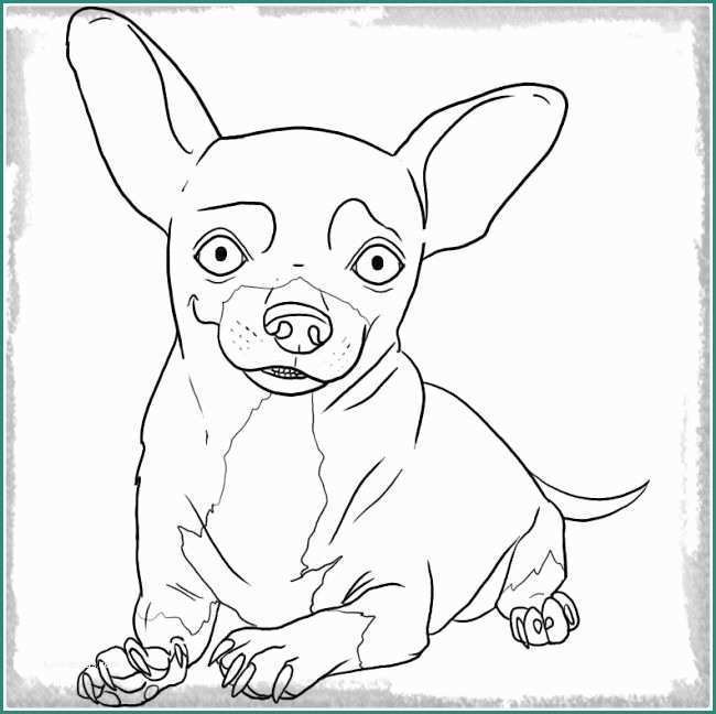 Immagini Di Cani Da Disegnare E Dibujo Para Colorear De Un Perro Hermoso