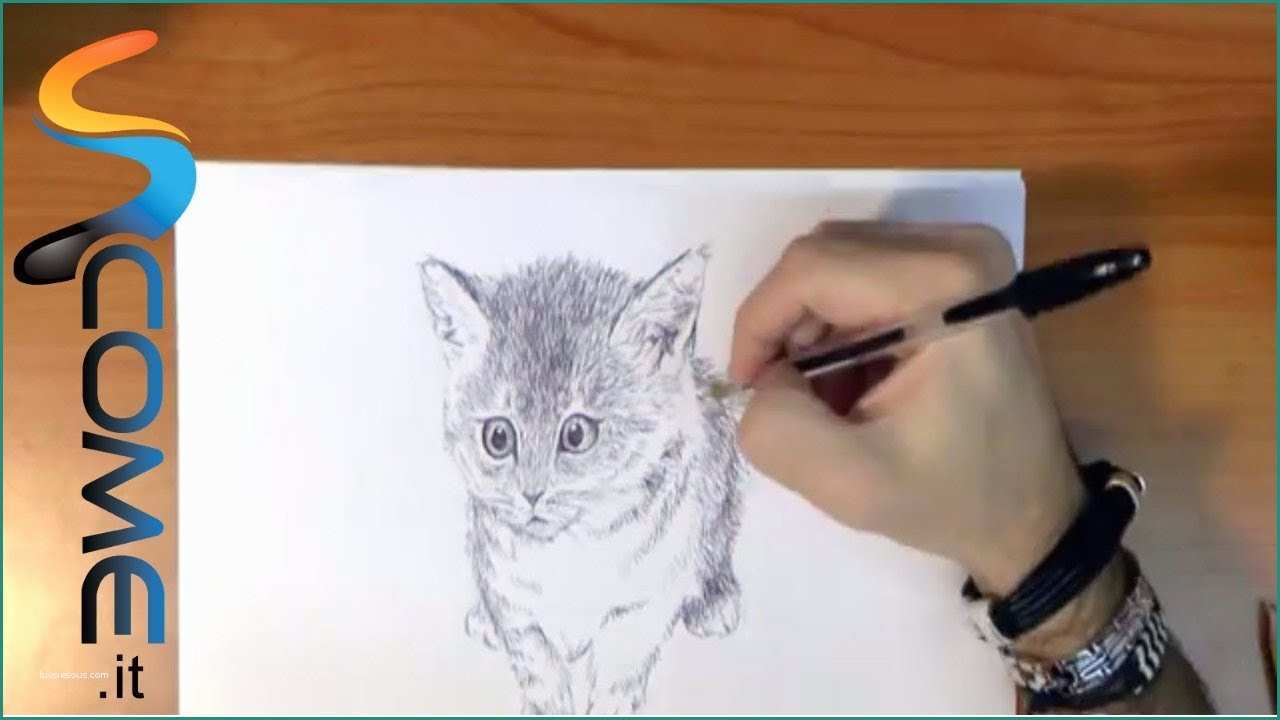 Immagini Di Cani Da Disegnare E Disegna Un Gatto Facilmente