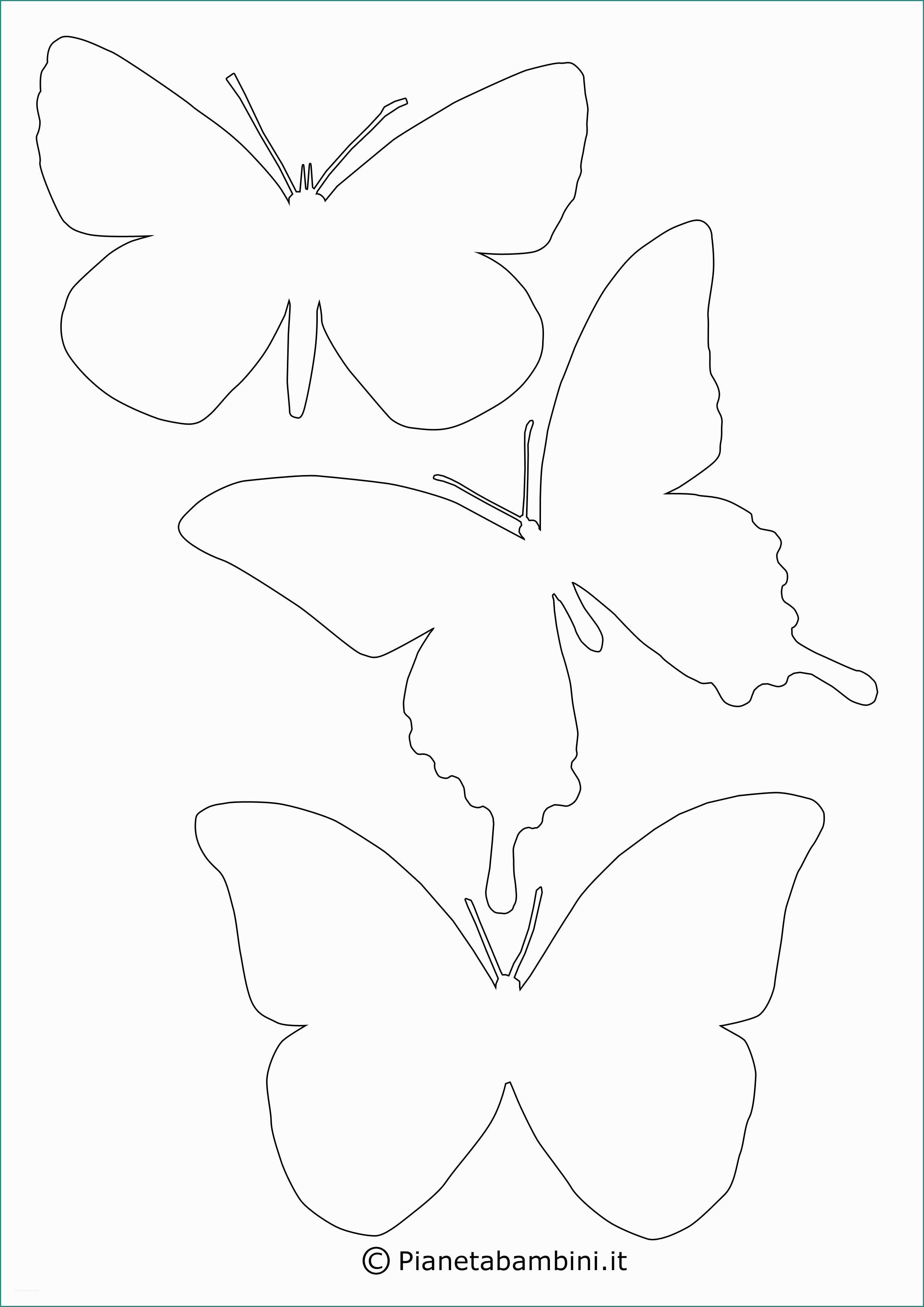 Immagini Di Farfalle Da Disegnare E In Alto Disegni Di Farfalle Da Stampare E Colorare