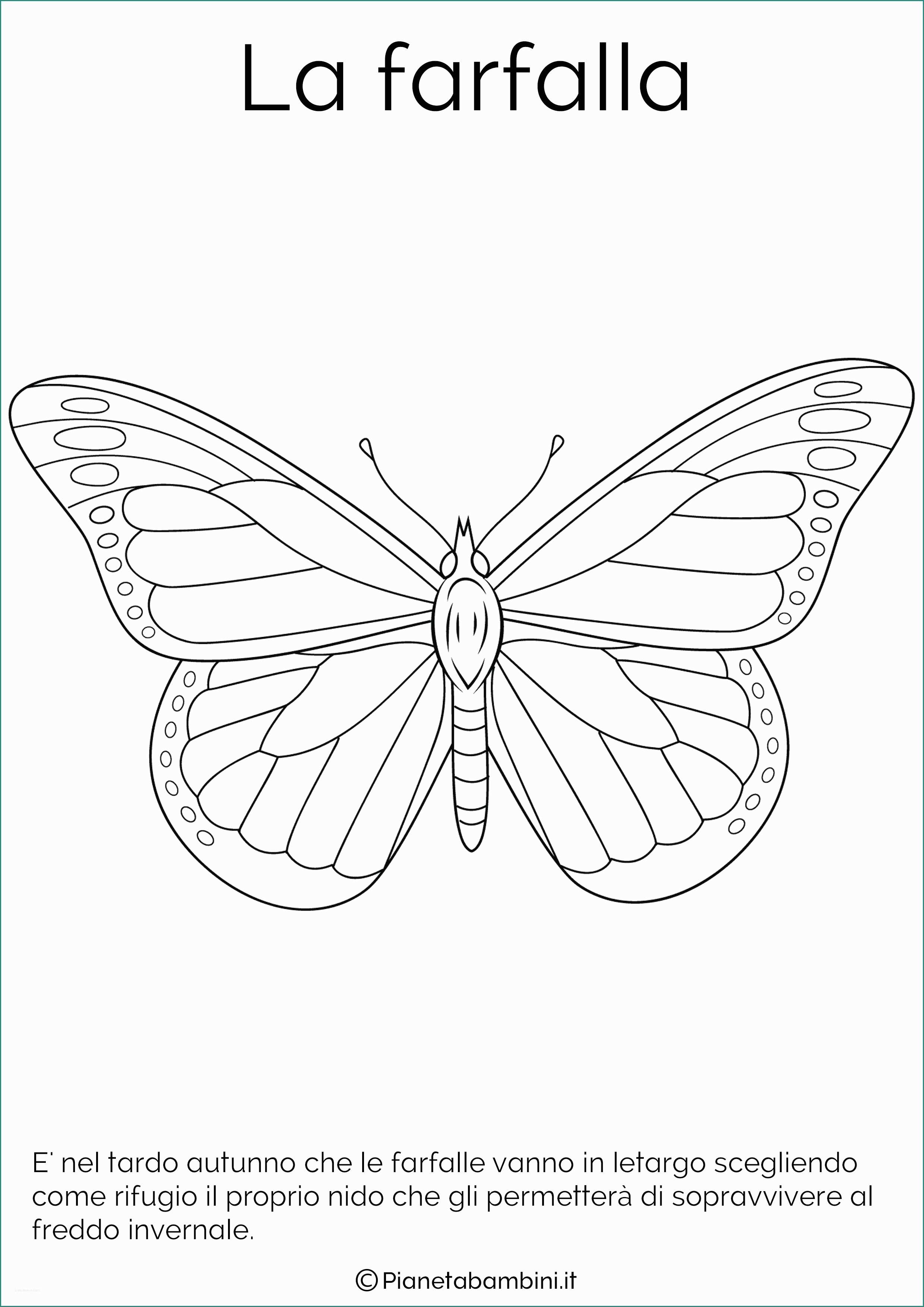 Immagini Di Farfalle Da Disegnare E In Alto Disegni Di Farfalle Da Stampare E Colorare