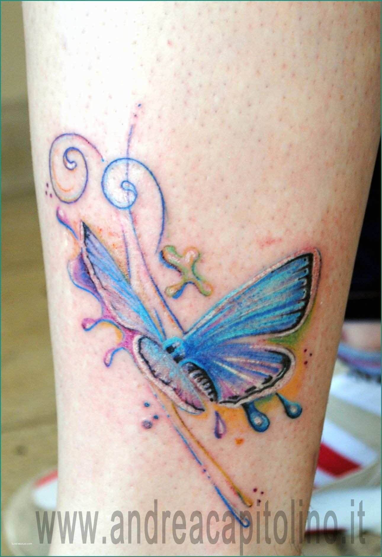 Immagini Di Farfalle Da Disegnare E Tattoo Colorato Di Farfalla In Volo Tattoo